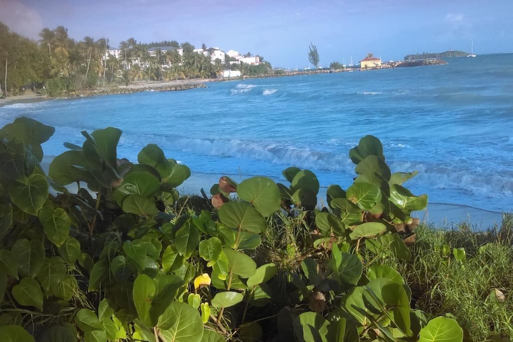 La Kaz Du Lagon Le Gosier  Bagian luar foto